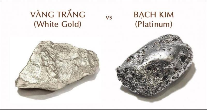 So sánh sự khác biệt giữa bạch kim và vàng trắng, giúp nhận biết chất liệu lắc tay