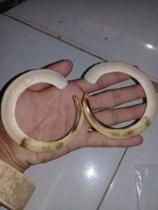 Vòng tay nanh heo rừng cong tự nhiên