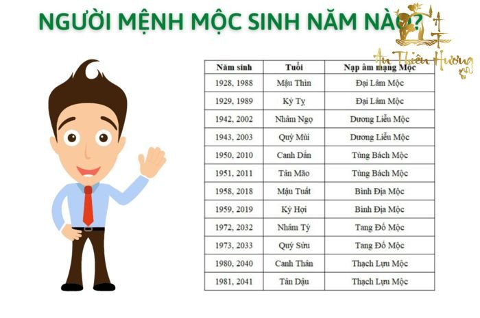 Bảng tổng hợp các năm sinh thuộc mệnh Mộc và nạp âm tương ứng