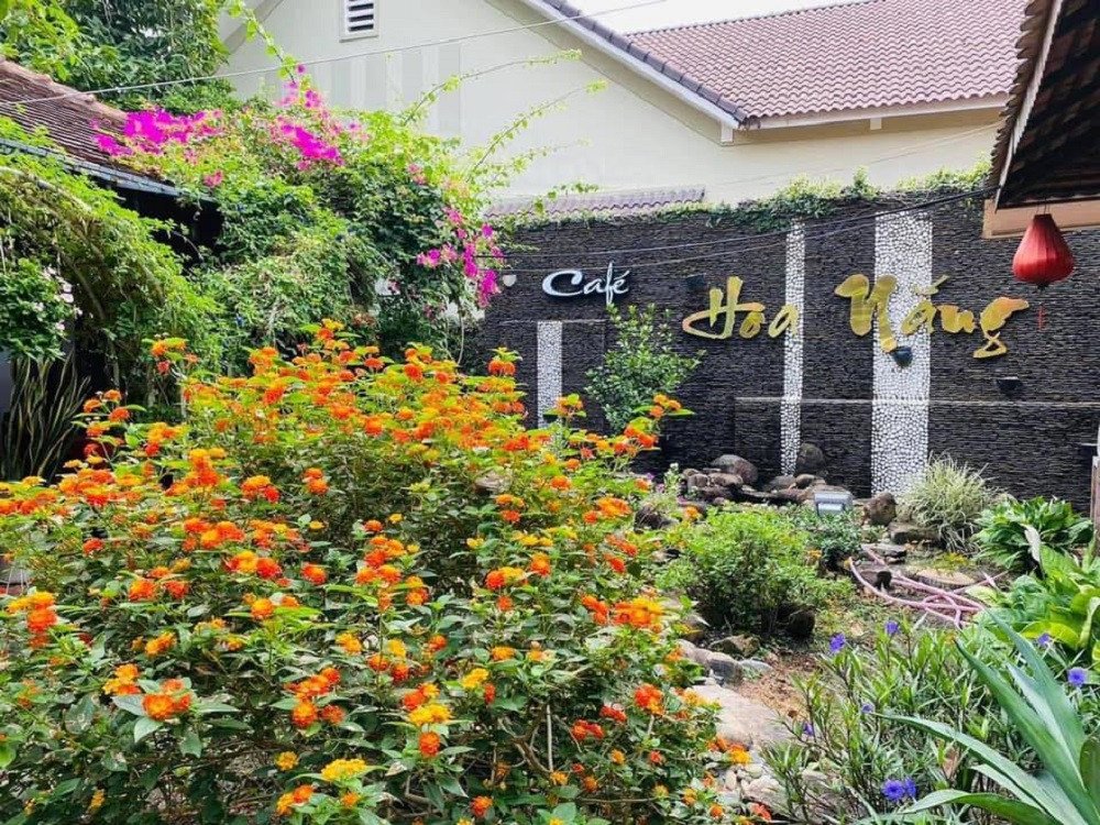 Cafe Hoa Nắng Tây Ninh với cảnh quan trữ tình và không gian cà phê võng