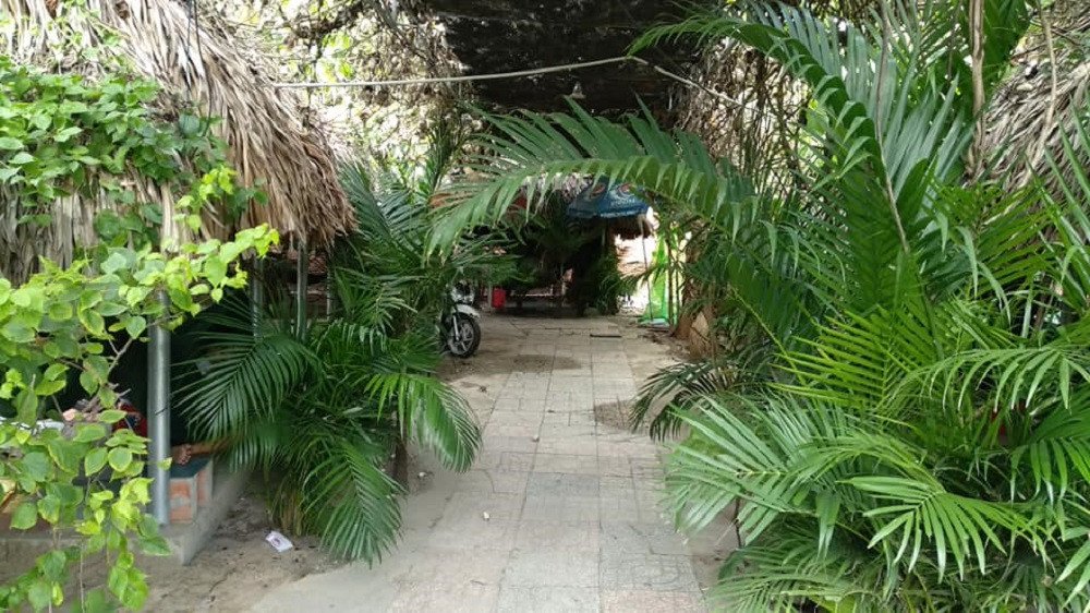Chòi võng riêng tư giữa khung cảnh xanh tươi tại quán cà phê võng Gió Nam Tây Ninh