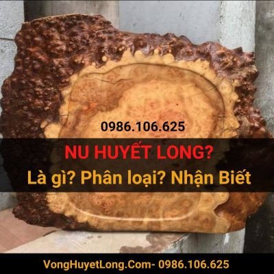 Gá»— nu huyáº¿t long: lÃ gÃ¬? cÃ¡ch nháº­n biáº¿t THáº¬T GIáº¢ chuáº©n 100%