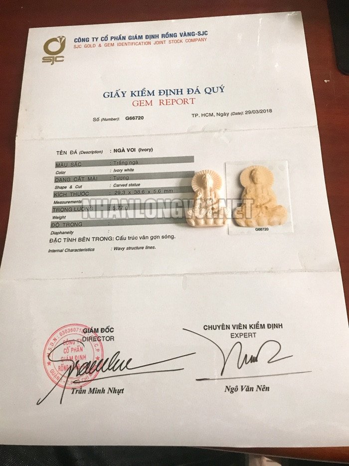 Giấy chứng nhận kiểm định ngà voi thật, hỗ trợ phân biệt vòng tay ngà voi thật giả