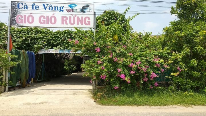 Không gian xanh mát tại quán cà phê võng Gió Gió Rừng ở Tây Ninh