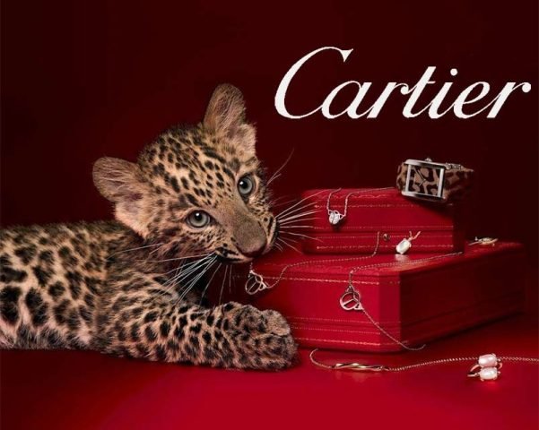 Vòng tay Cartier chính hãng sang trọng