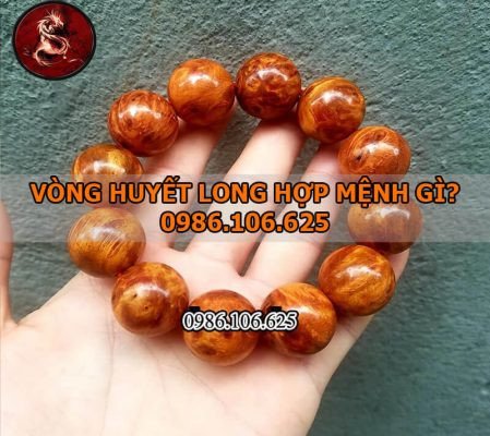 Vòng tay gá»— huyáº¿t rá»“ng há»£p má»‡nh gÃ¬
