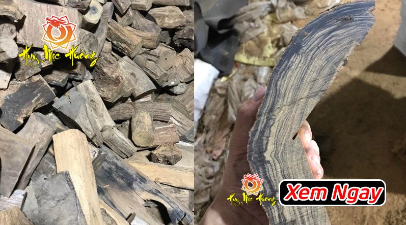 Vòng tay gỗ bách xanh chìm nước 100% tự nhiên, màu sắc đậm