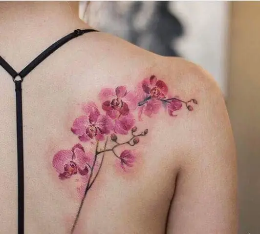 Bạn Có Thể Tìm Thấy Những Hình Xăm Hoa Lan Đẹp Được Không?