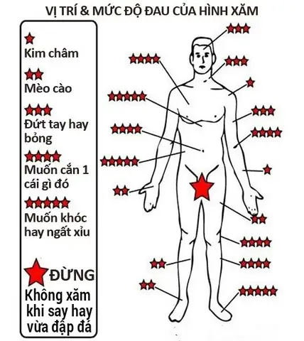 Các Vị Trí Xăm Trên Cơ Thể Và Ý Nghĩa Phong Thủy