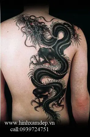 Hình Ảnh Cho Giá Hình Xăm Rồng Cánh Tay: