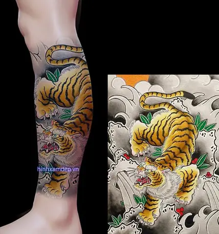 Äiá»u Cáº§n Biáº¿t Træ°á»c Khi Quyáº¿t Äá»nh