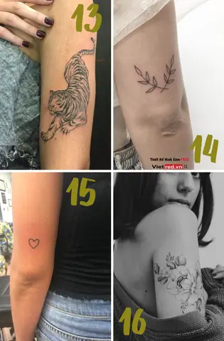 Bộ Sưu Tập 31+ Hình Xăm Ở Bắp Tay Nữ Mini, Cute, Đẹp, Cá Tính Nhất