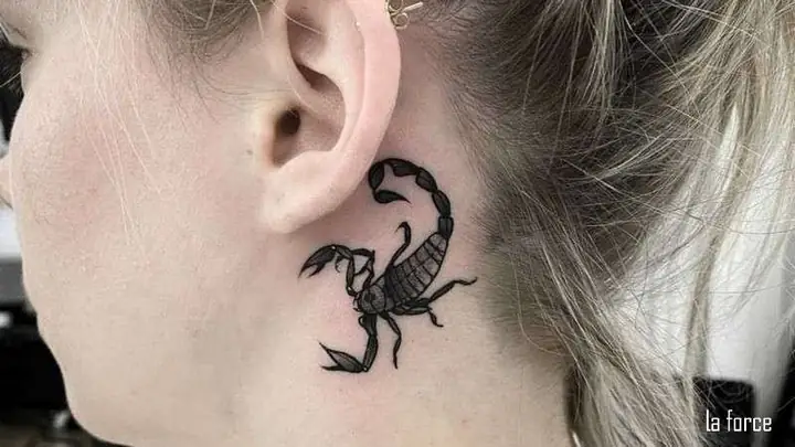 Hình Xăm Bọ Cạp Mini