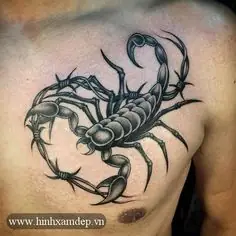 Hình Ảnh Cho Hình Xăm Bọ Cạp Ở Cổ: