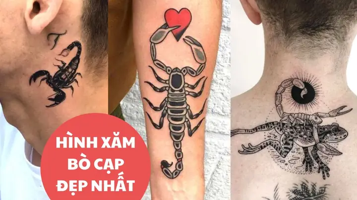 Hình Ảnh Cho Hình Xăm Bọ Cạp Ở Cổ: