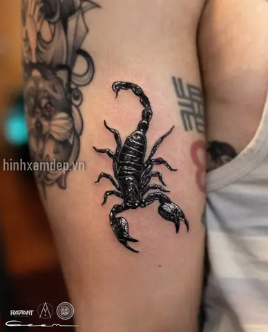 Câu Há»i Thæ°á»ng Gáº·p Khi Xäm Hình Bá» Cáº¡p Á» Tay