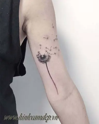 Træ°á»c Khi Xäm?