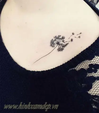 Træ°á»c Khi Xäm?