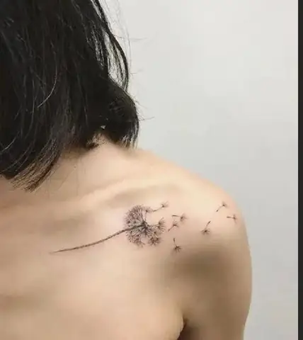 Ở Vai Ở Vai