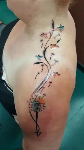 Ở Vai Ở Vai
