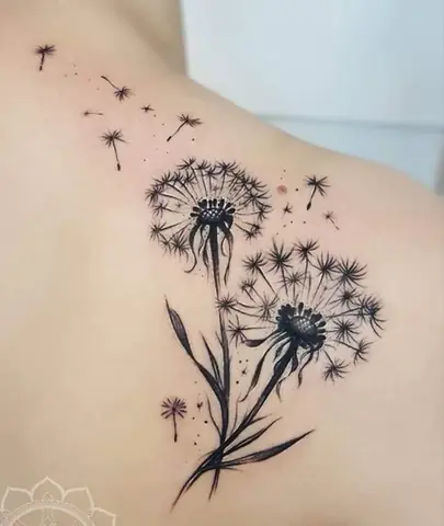 Ở Vai Ở Vai