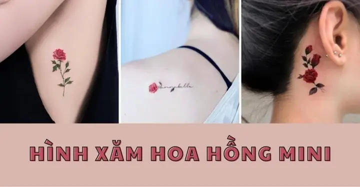 Hình Ảnh Cho Hình Xăm Bông Hoa Hồng Mini: Hình Ảnh Cho Hình Xăm Bông Hoa Hồng Mini: