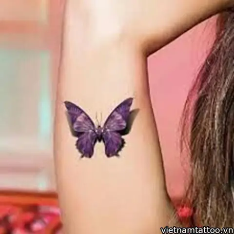 Ý Nghĩa Của Hình Xăm Con Bướm