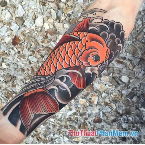 Hình Ảnh Cho Hình Xăm Cá Chép Hoa Sen Ở Bắp Tay: Hình Ảnh Cho Hình Xăm Cá Chép Hoa Sen Ở Bắp Tay: