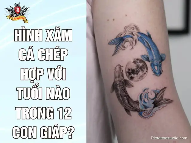 Hình Xăm Cá Chép Hợp Với Tuổi Nào Trong 12 Con Giáp? Hình Xăm Cá Chép Hợp Với Tuổi Nào Trong 12 Con Giáp?