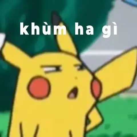 Sự Phát Triển Của Văn Hóa Meme Và Tính Giải Trí Sự Phát Triển Của Văn Hóa Meme Và Tính Giải Trí