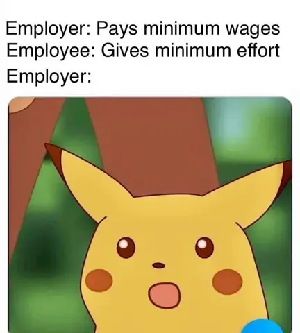 Sự Phát Triển Của Văn Hóa Meme Và Tính Giải Trí Sự Phát Triển Của Văn Hóa Meme Và Tính Giải Trí