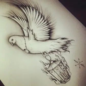 Đặt Ở Đâu? Đặt Ở Đâu?