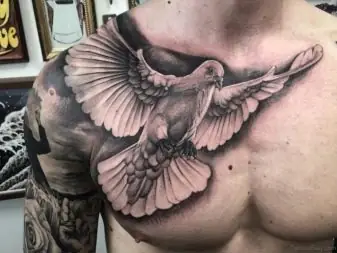Ý Nghĩa Và Ví Dụ Về Bản Phác Thảo Hình Xăm Chim Bồ Câu Ý Nghĩa Và Ví Dụ Về Bản Phác Thảo Hình Xăm Chim Bồ Câu