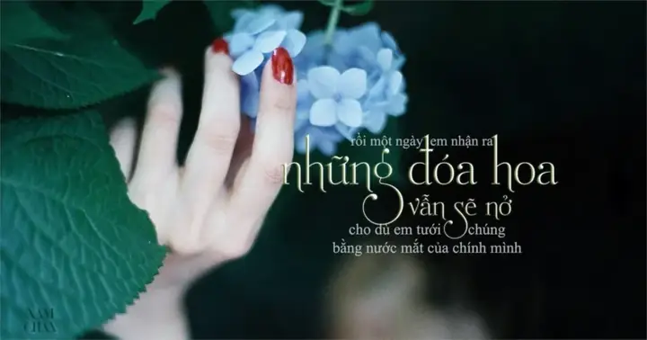 Stt Ý Nghĩa Về Cuộc Sống – Những Chiêm Nghiệm Sâu Sắc Nhất