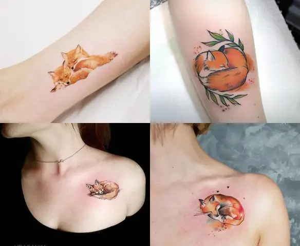 Hình Tattoo Con Cáo Ngủ Cuộn Tròn Hình Tattoo Con Cáo Ngủ Cuộn Tròn