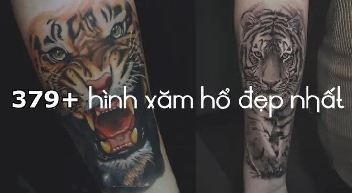 Hình Ảnh Cho Hình Xăm Con Hổ Cho Nữ: Hình Ảnh Cho Hình Xăm Con Hổ Cho Nữ: