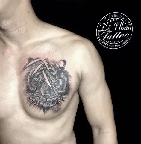 Hình Ảnh Cho Hình Xăm Con Hổ Cho Nữ: Hình Ảnh Cho Hình Xăm Con Hổ Cho Nữ: