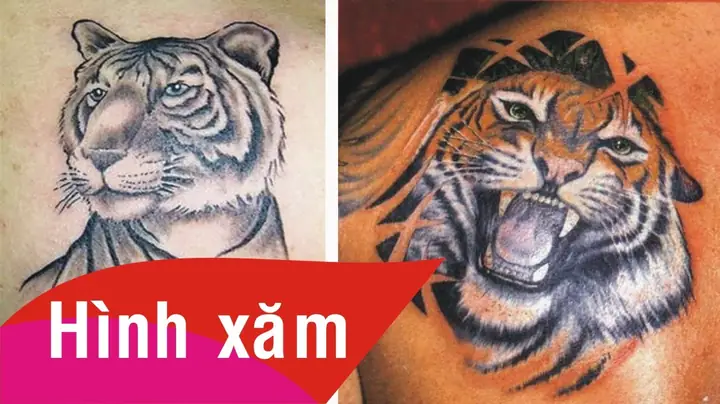 Mẫu Hình Xăm Con Hổ Đơn Giản Nào Đẹp Nhất?