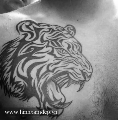 Mẫu Hình Xăm Con Hổ Đơn Giản Nào Đẹp Nhất?