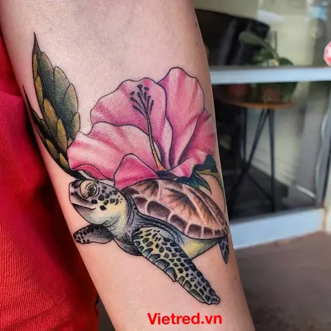 Thiết Kế Rùa Hoạt Hình