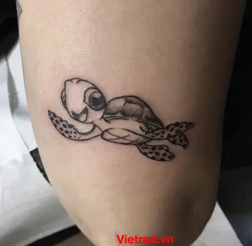 Thiết Kế Rùa Hoạt Hình