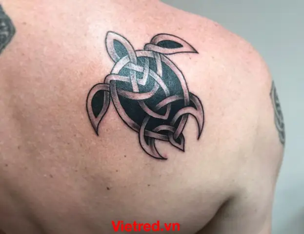 Thiết Kế Hình Xăm Rùa Celtic
