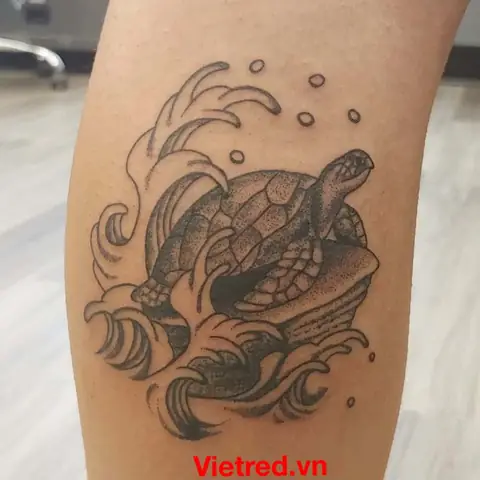 Thiết Kế Rùa Hoạt Hình
