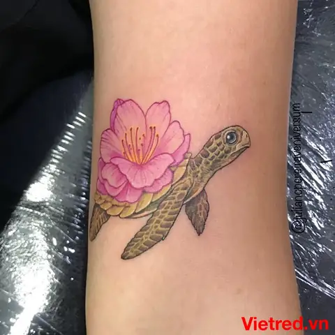 Hình Xăm Rùa Nhật Bản