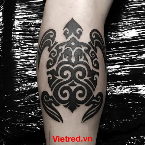 Thiết Kế Hình Xăm Rùa Celtic
