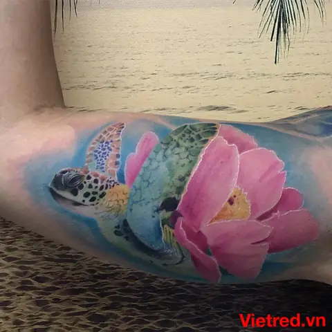 Thiết Kế Hình Xăm Rùa Ai Cập