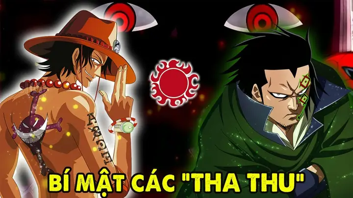 Hình Xăm Của Luffy Có Ý Nghĩa Gì?