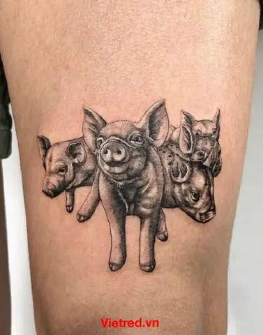 19. Hình Xăm ‘đàn Heo’