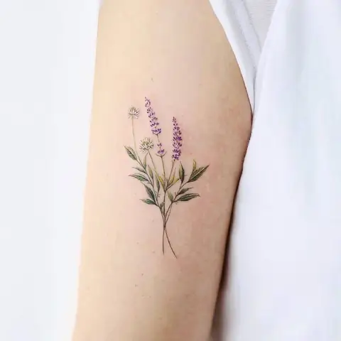 100+ Hã¬nh Xäm Mini Äáº¹p Cho Ná»¯ Cute Vã Ã½ Nghä©a Nháº¥t