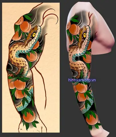 Phong Cách Phá»i Màu